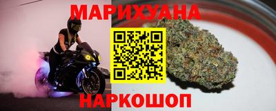 сатива Обь