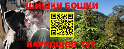 сатива Обь