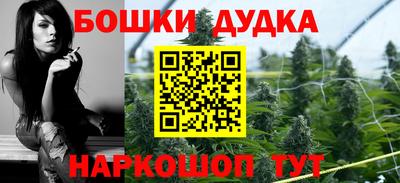 сатива Обь