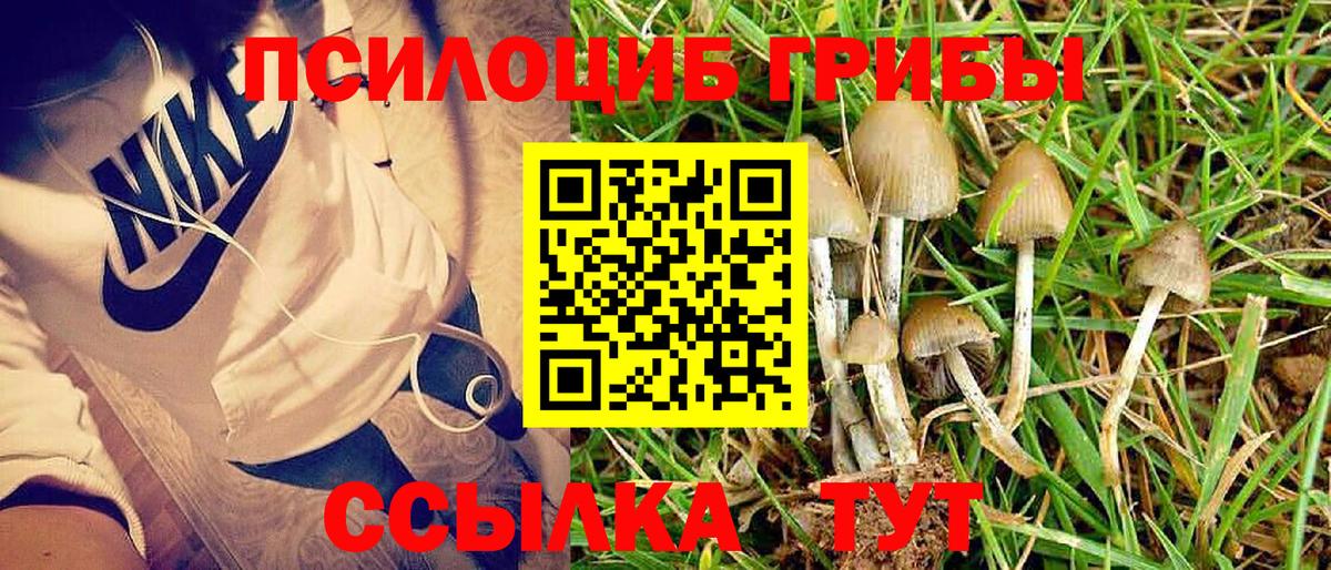 Псилоцибиновые грибы мухоморы  Вход с VPN  Александров 