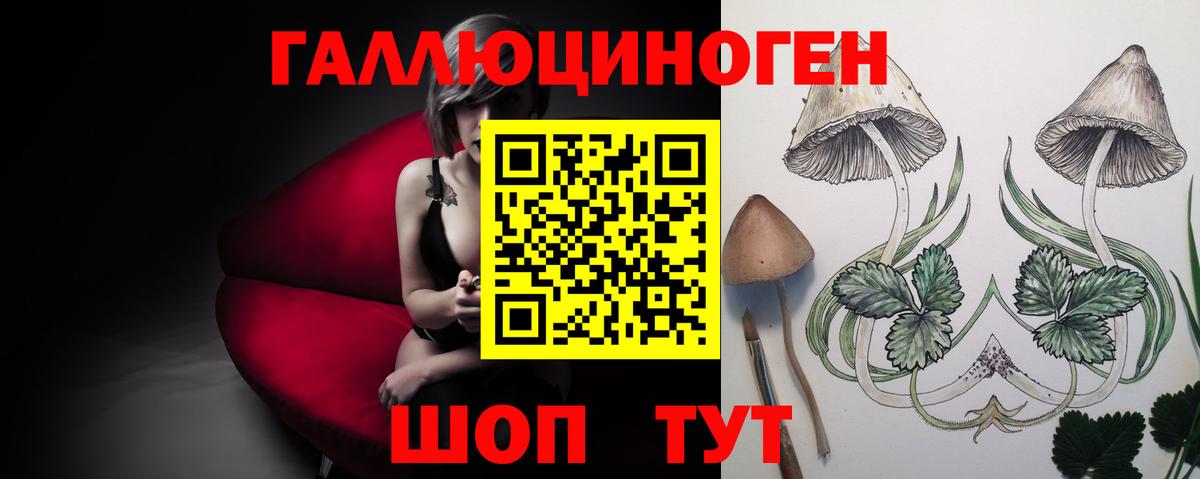 Галлюциногенные грибы Psilocybe Александров