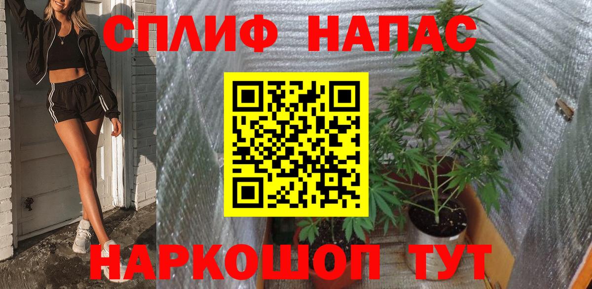 МАРИХУАНА гибрид  Бошки Шишки White Widow  Канабис план  Александров  Вход с VPN 